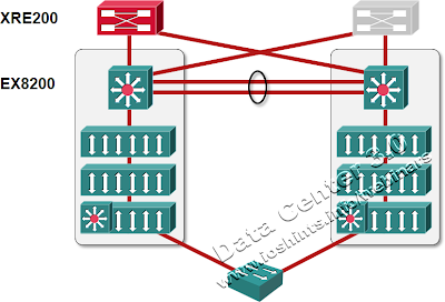 Juniper MLAG cluster with an external control plane