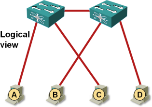 Each ESXi hosts looks like multiple single-attached servers