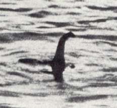 More people have seen Nessie than an EVB-compliant vSwitch