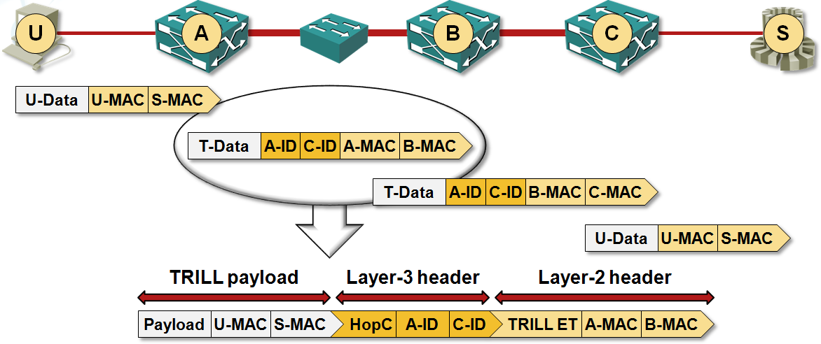 TRILL forwarding diagram from the Data Center 3.0 for Networking Engineers webinar