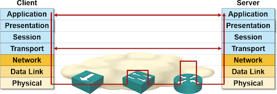 Bottom layers of the OSI stack