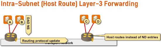 Intra-subnet layer-3 forwarding