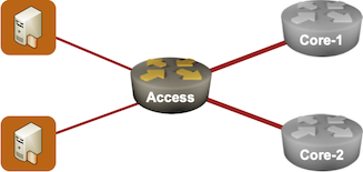 NSF used to provide uninterrupted connectivity in non-redundant access network