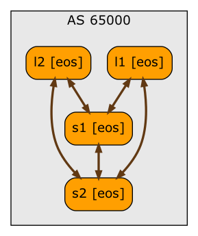 BGP session topology