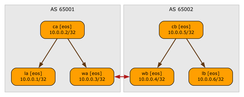 BGP sessions (IBGP sessions are brown, EBGP sessions are red)
