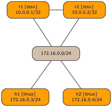 Topology graph after changing the graph.linkorder of host interfaces